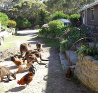 Anchorage Apartments - Tourism Cairns