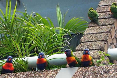 Aquajet Motel - Tourism Cairns 3