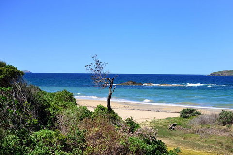 Aqualuna Beach Resort - Unit 25 - Tourism Cairns 3
