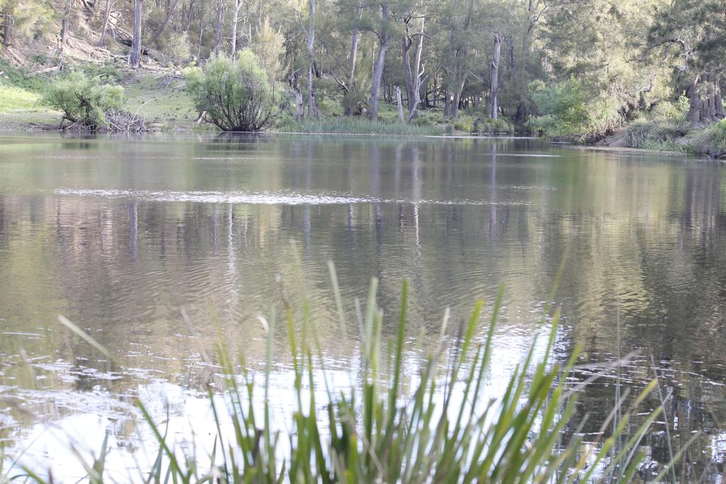 Tallong NSW Tourism Cairns