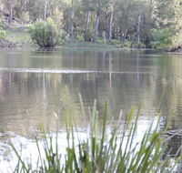 Arcadian Cabin - Southern Highlands River Retreat - Tourism Cairns
