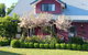 Magenta Cottage - thumb 0
