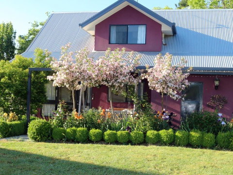 Magenta Cottage - Tourism Cairns 0