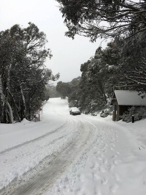 MAGNIFICENT SKIING ON MOUNT BULLER - Tourism Cairns 3