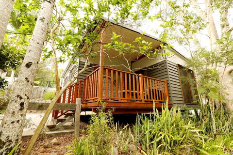 Mt Warning Rainforest Park - Tourism Cairns 1