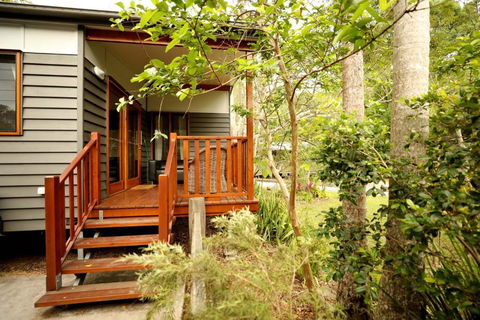 Mt Warning Rainforest Park - Tourism Cairns 0