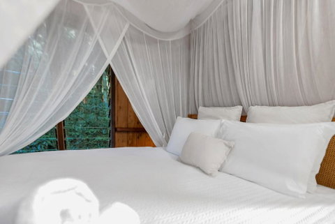 Neverland - The Stoney Creek Treehouse - Tourism Cairns 2