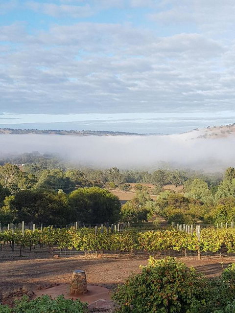 Pecan Hill BNB - Tourism Cairns 0