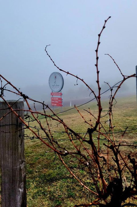 Red Door Collective - RDC Vineyard Estate, Luxury Adult Only Stay - Tourism Cairns 3