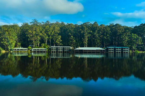 RAC Karri Valley Resort - Tourism Cairns 2