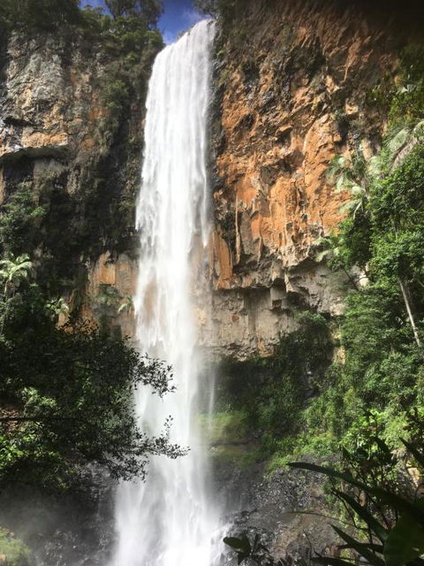 Purling Brook Falls Gwongorella - Tourism Cairns 1