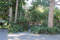 Book Macclesfield Accommodation Vacations Tourism Cairns Tourism Cairns