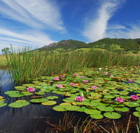 Barrington Hideaway- River Cottages - Tourism Cairns