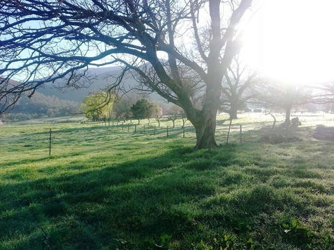 Bay Creek Guest House - Tourism Cairns 0