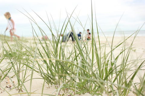 Beachfront At Bribie 2 Puppy Friendly - Tourism Cairns 3