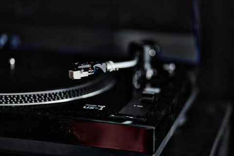 Ruby By Whiskey June - Tourism Cairns 3