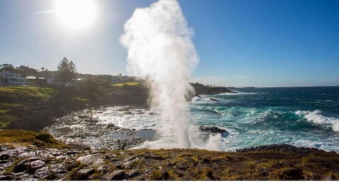 SALTY PALMS -Seaside Studio Apartment - Tourism Cairns 2