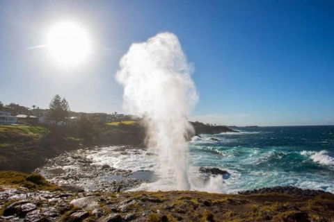 SALTY SOUL KIAMA - Tiny House By The Ocean - Tourism Cairns 3