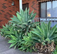 Beautiful Bedroom in Bentleigh East - Tourism Cairns