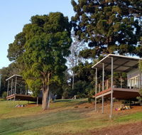 Beechmont Bean Cabins - Tourism Cairns