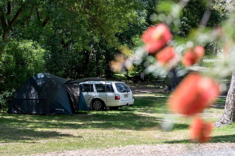 Belair National Park Holiday Park - Tourism Cairns 0