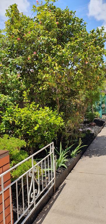 Betty's Place - Tourism Cairns 1