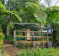 Binna Burra Rainforest Campsite - Tourism Cairns