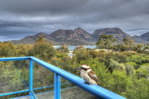 Blue Gum Retreat - Tourism Cairns 2