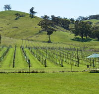 Blue House at Mountainside Wines - Tourism Cairns