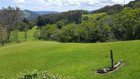 Blue Summit Cottages - Tourism Cairns 3