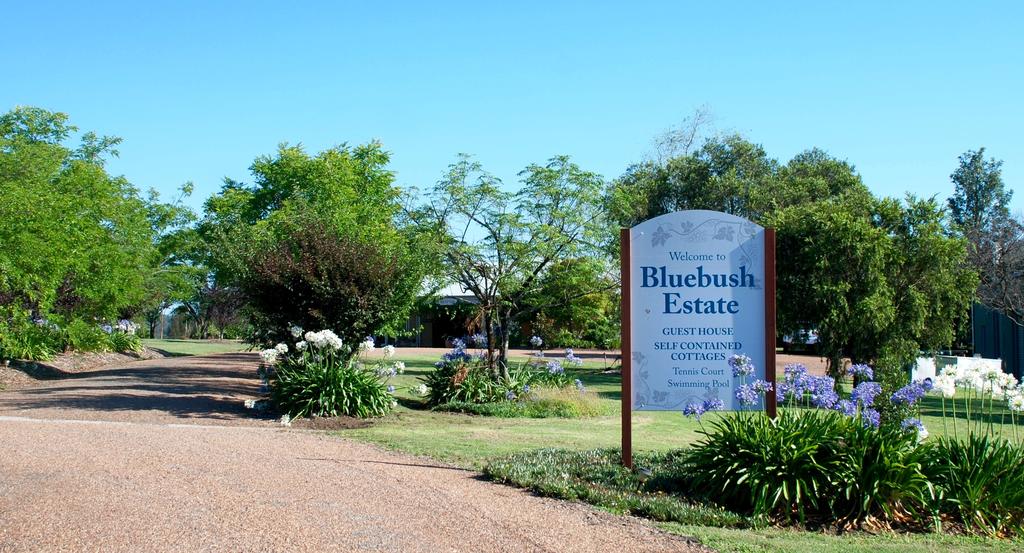 Pelton NSW Tourism Cairns