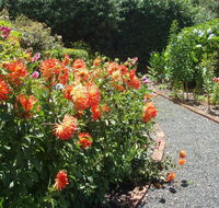 Boat Harbour Garden Cottages - Tourism Cairns