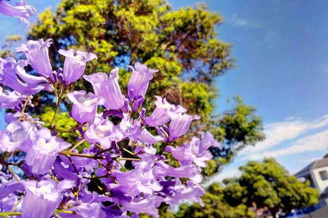 Big Perth (Private) Day Tour - Tourism Cairns 3