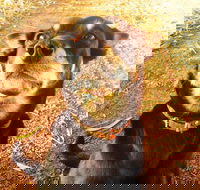 Perth Kids Explorer Private Day Tour - Tourism Cairns