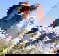 Spring Wildflower Private Day Tours - Tourism Cairns