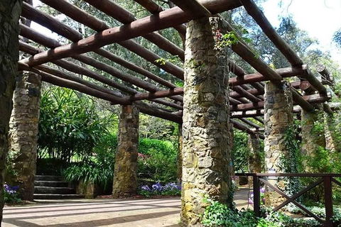 Spring Wildflower (Private) Day Tours - Tourism Cairns 2