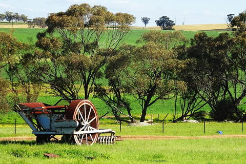 Spring Wildflower (Private) Day Tours - Tourism Cairns 4