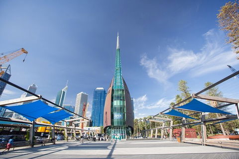 Perth Scavenger Hunt: Perched On A Swan - Tourism Cairns 3