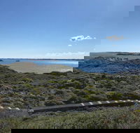 Penguin Island And Fremantle - Canoe Chocolate  Coffee - Tourism Cairns