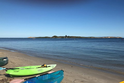 Penguin Island And Fremantle - Canoe, Chocolate & Coffee - Tourism Cairns 2