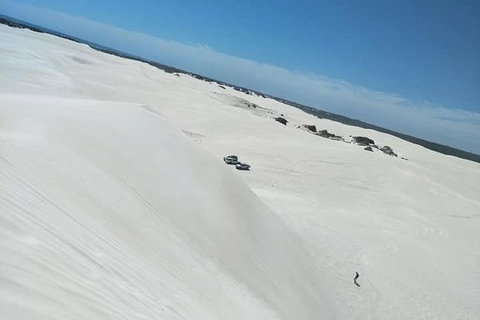 Yanchep & Lancelin - Wildlife, Cave And Sands - Tourism Cairns 3