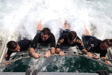 Cruise In Moreton Bay Marine Park And Moreton Island - Tourism Cairns 0