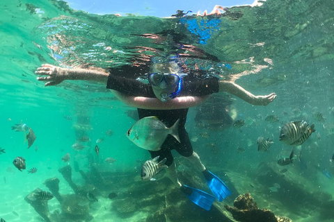 Cruise In Moreton Bay Marine Park And Moreton Island - Tourism Cairns 5