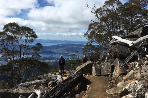 Kunanyi / Mt Wellington Explorer Bus - 2 Hour Return Tour - Tourism Cairns 0