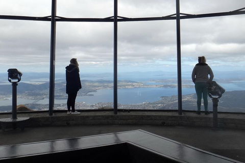 Kunanyi / Mt Wellington Explorer Bus - 2 Hour Return Tour - Tourism Cairns 1