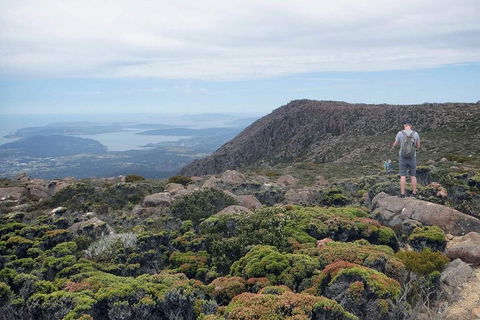 Kunanyi / Mt Wellington Explorer Bus - 2 Hour Return Tour - Tourism Cairns 3