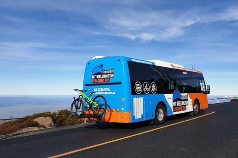 Kunanyi / Mt Wellington Explorer Bus - 2 Hour Return Tour - Tourism Cairns 4