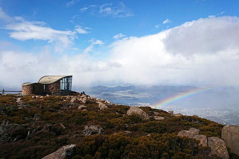 Kunanyi / Mt Wellington Explorer Bus - 2 Hour Return Tour - Tourism Cairns 5