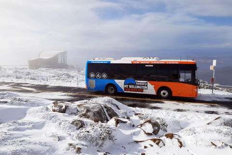 Kunanyi/Mt Wellington Tour & Hobart Hop-On Hop-Off Bus - Tourism Cairns 2