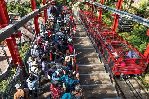 Private Guided Tour: Blue Mountains Tour From Sydney - Tourism Cairns 1